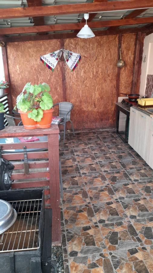 Camere De Inchiriat Maria Corbu Εξωτερικό φωτογραφία